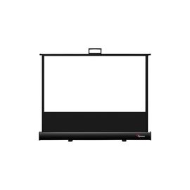 46 PULLUP PROJECTOR SCREEN DP-9046MWL