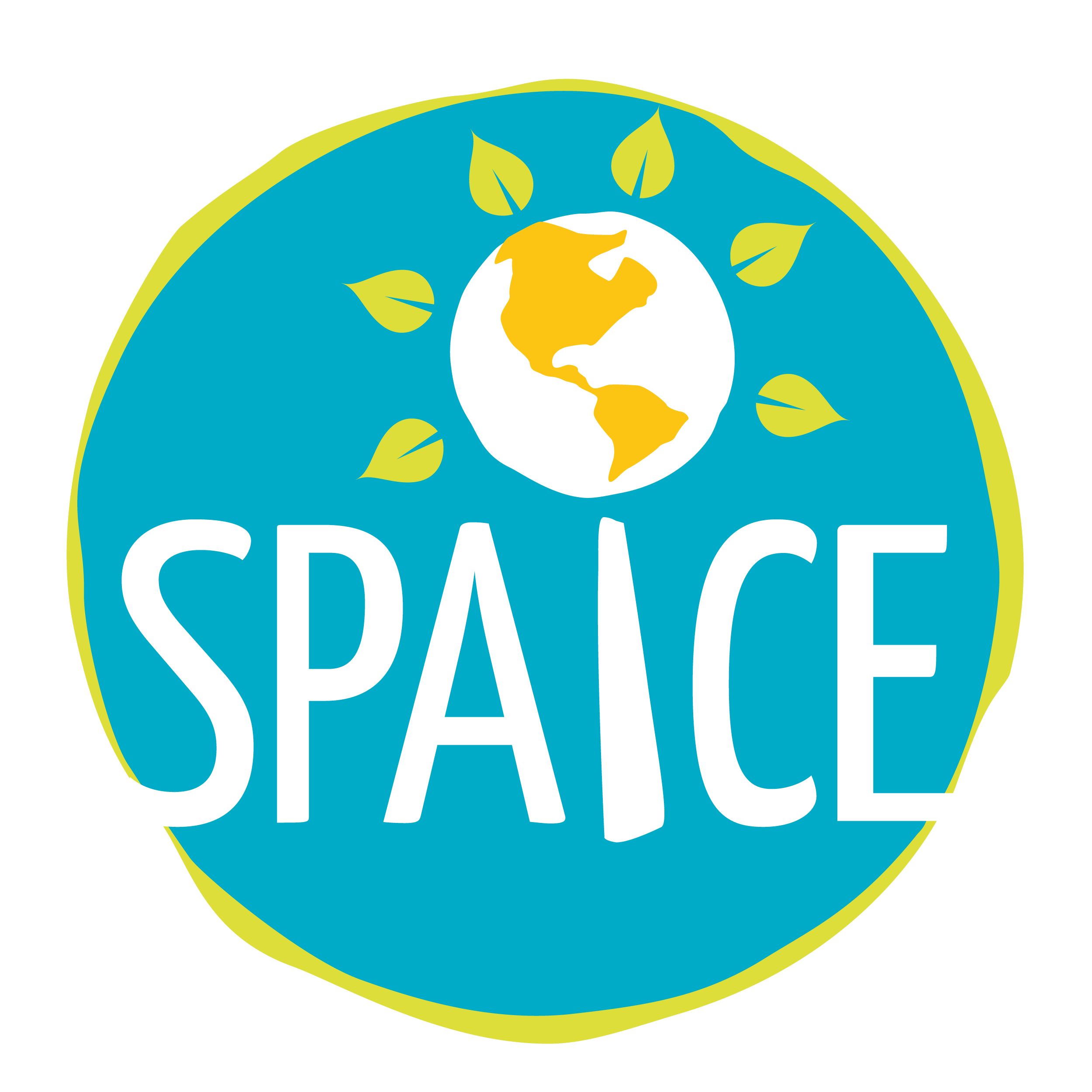 Spaice logo